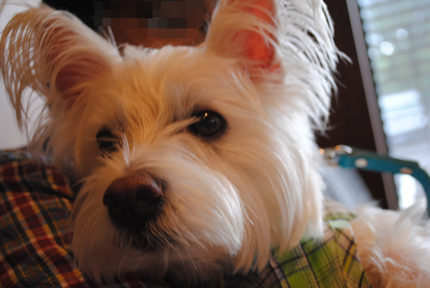 b0242873_01450000.png