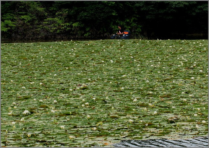 f0181173_14472142.jpg