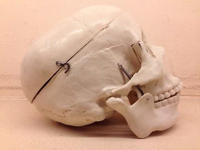 c0078587_13261491.jpg