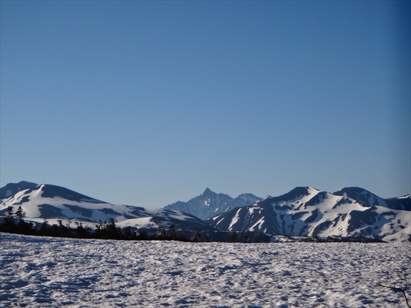 f0125091_139511.jpg