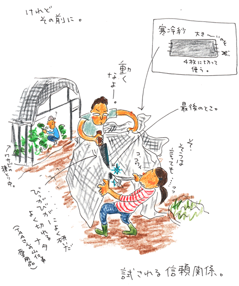 f0236291_1515020.gif