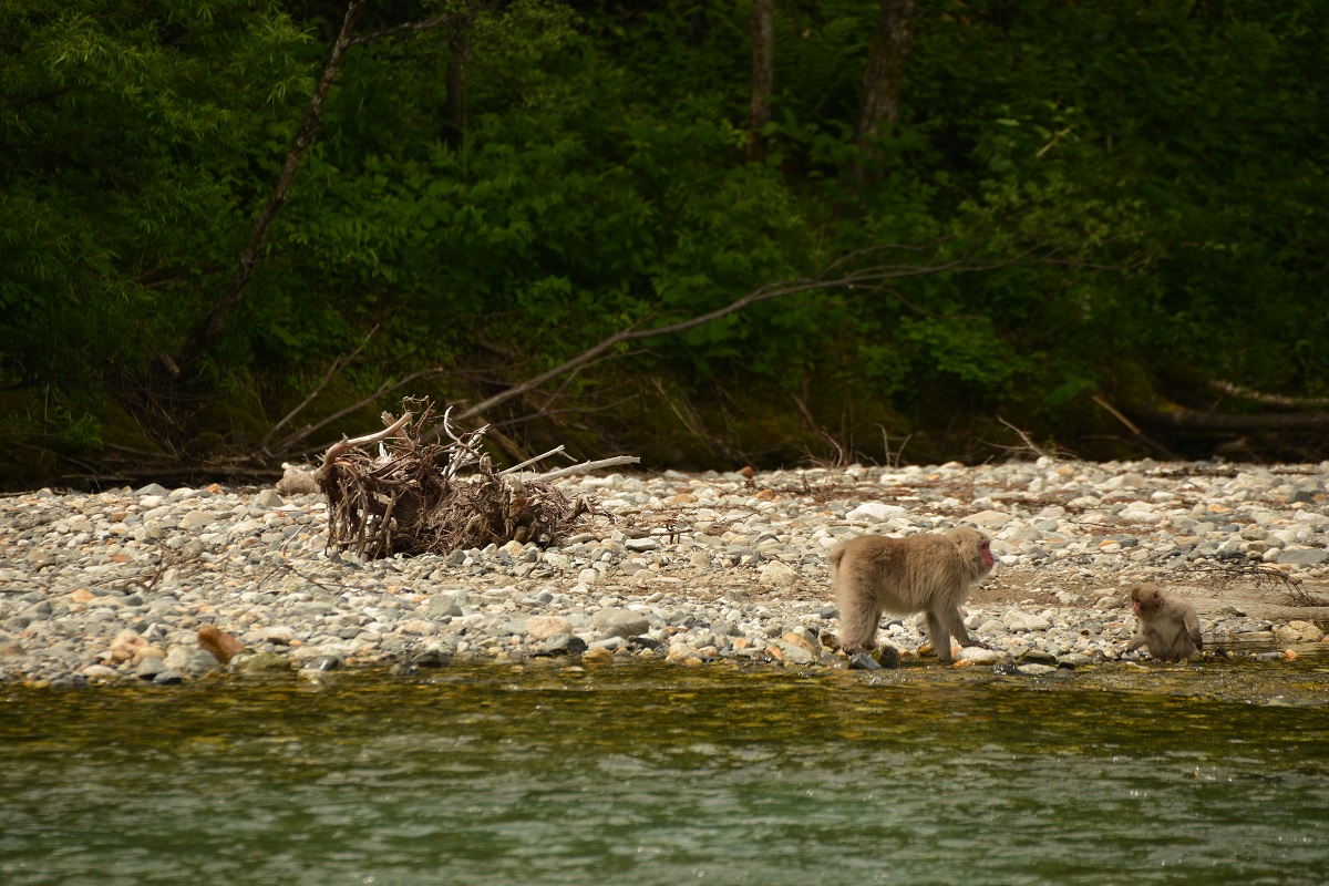 f0268294_21083757.jpg