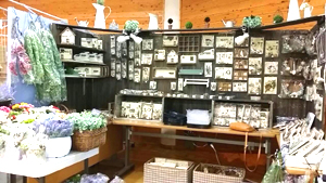 f0167611_02234100.jpg