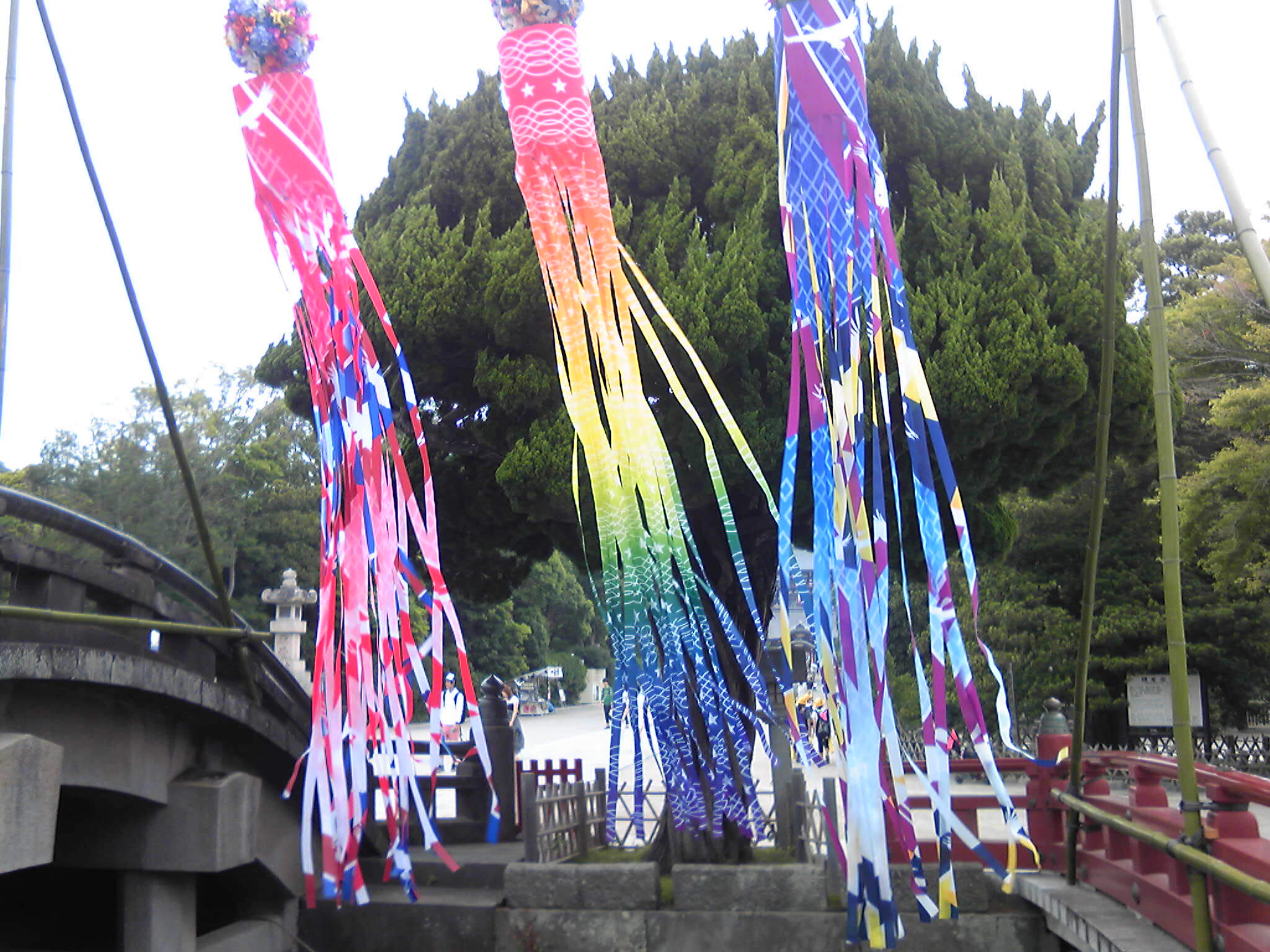 b0285619_16482037.jpg