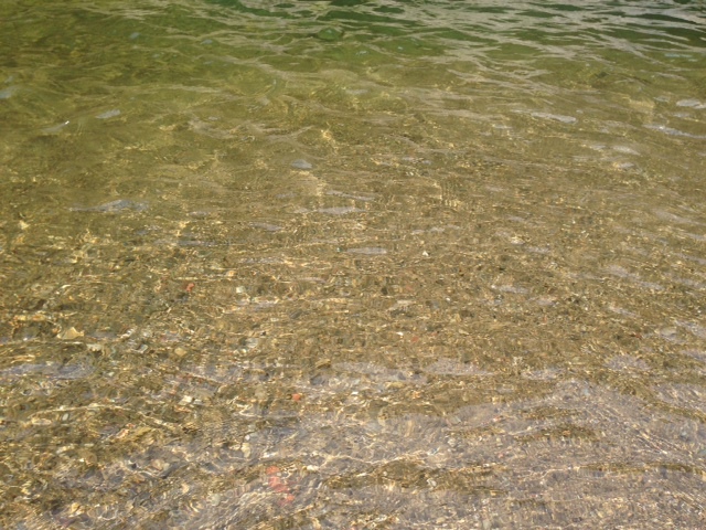 c0188525_15142173.jpg
