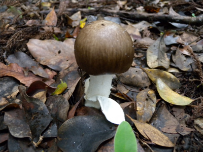 e0272335_2052585.jpg