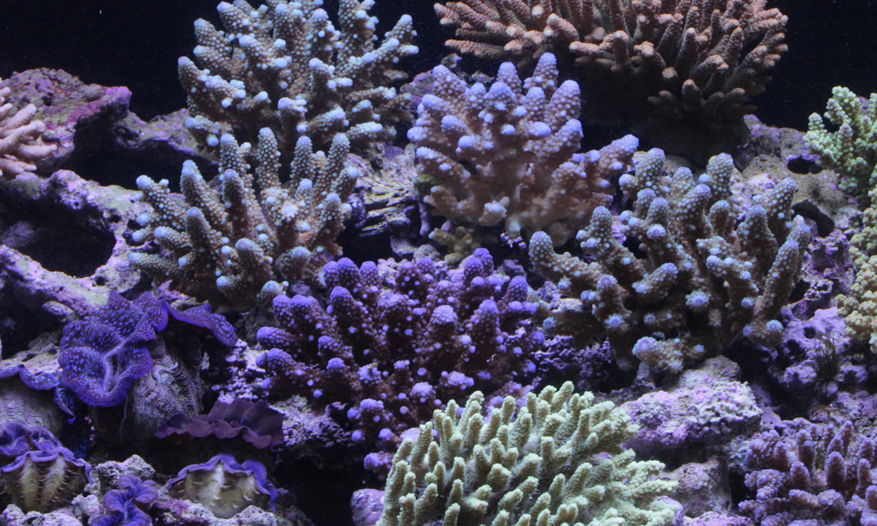 d0221436_21245068.jpg