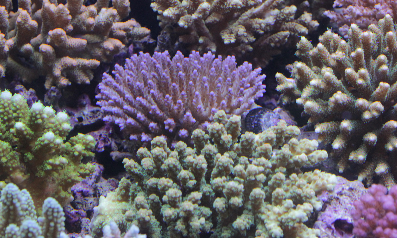 d0221436_21251079.jpg