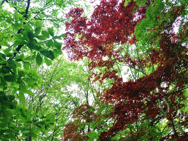 d0240442_0141361.jpg