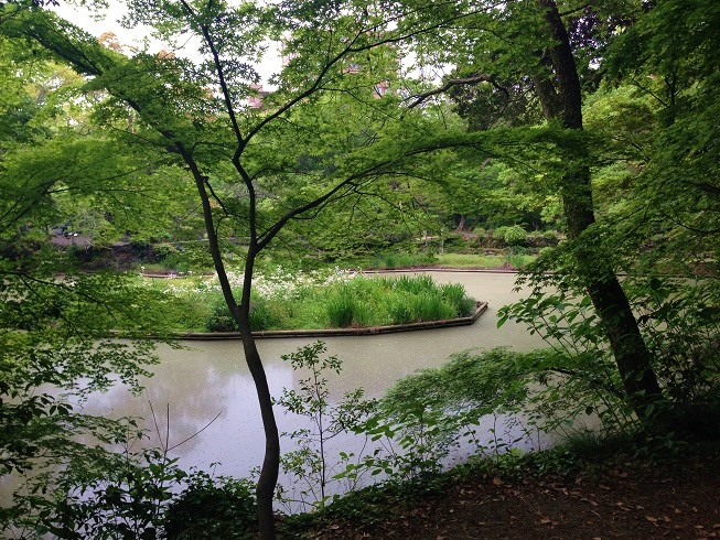 d0240442_015261.jpg