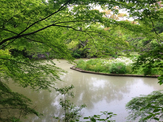 d0240442_0153575.jpg