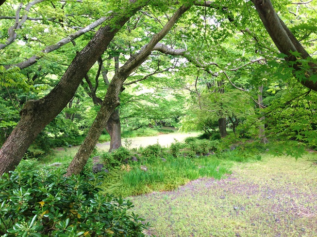 d0240442_016140.jpg