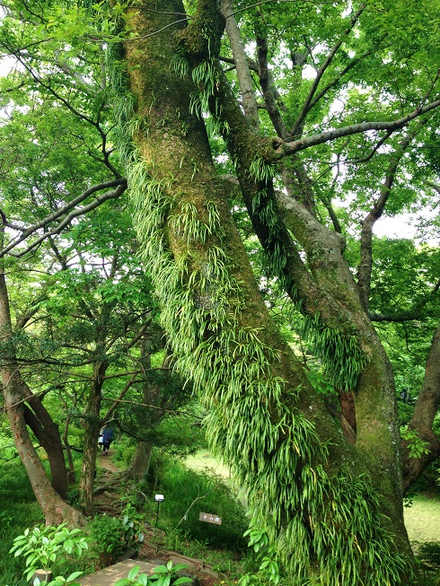 d0240442_0164281.jpg