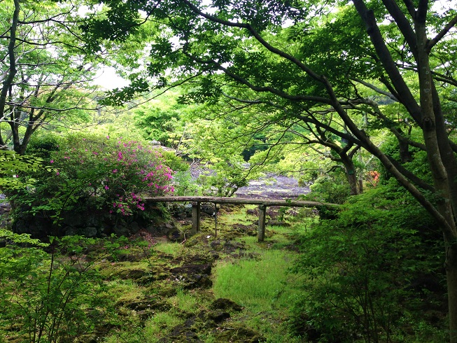 d0240442_0171295.jpg