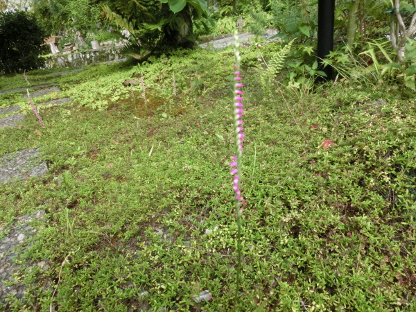 b0132746_23415504.jpg