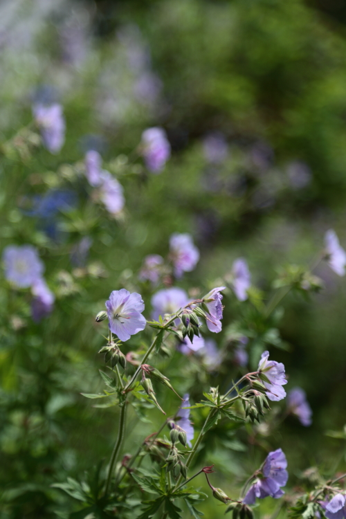 a0258549_2238541.jpg