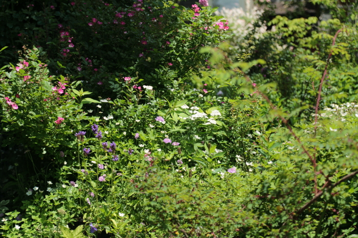 a0258549_224276.jpg