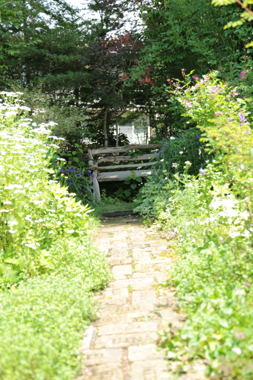 a0258549_224439.jpg