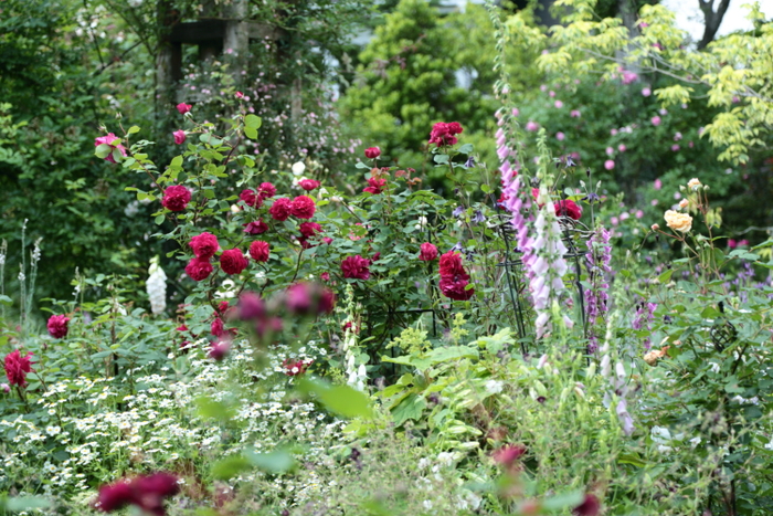 a0258549_2251198.jpg