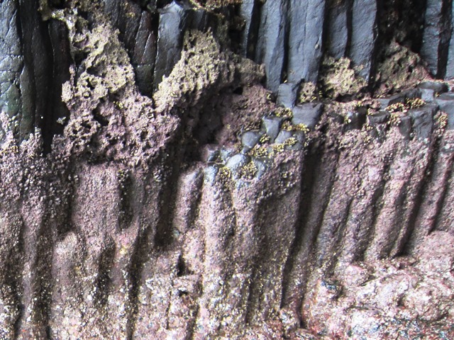 b0289649_8375218.jpg