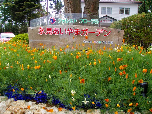 c0327752_9201122.jpg