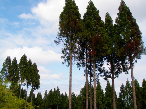 c0327752_9331561.jpg