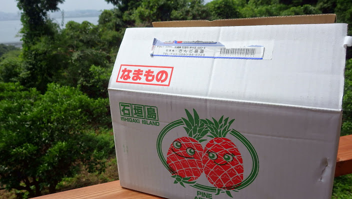 f0201157_23303769.jpg