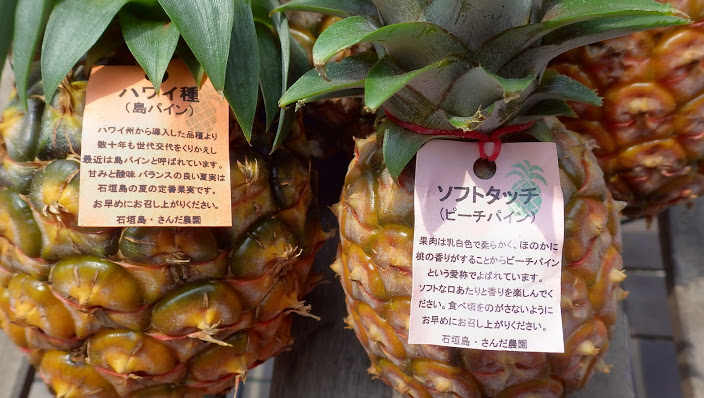 f0201157_23304642.jpg