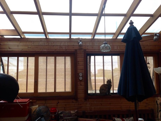c0123363_928556.jpg