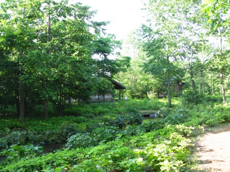 a0243064_20105977.jpg