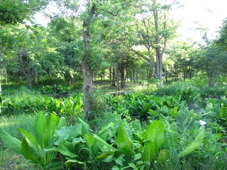 a0243064_20112107.jpg