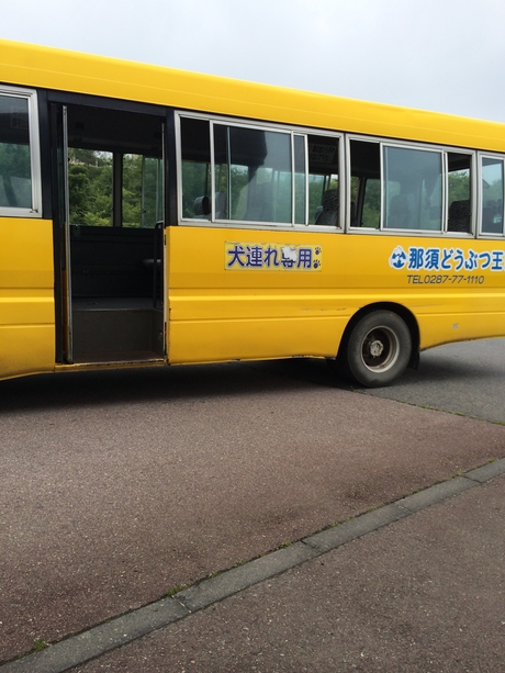 c0283778_1725145.jpg