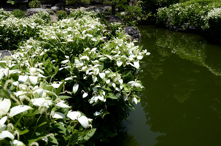 f0108478_1025441.jpg