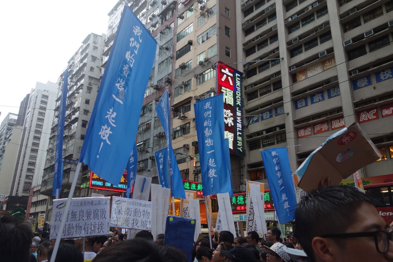 c0321782_18251566.jpg