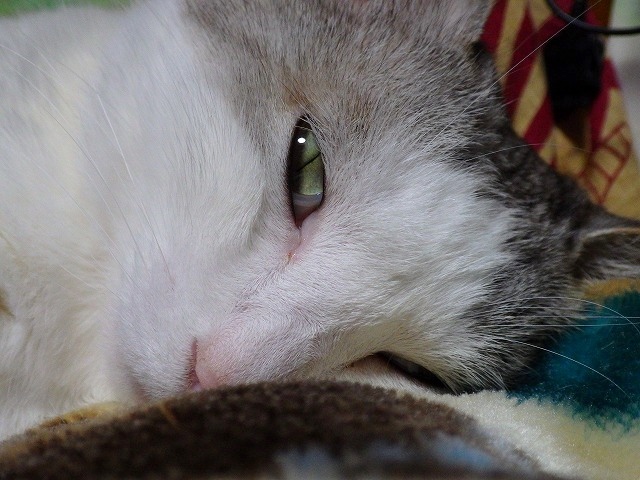 a0159490_16251815.jpg