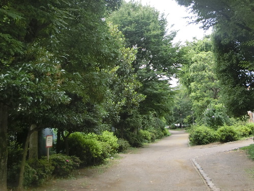 a0319693_9131646.jpg