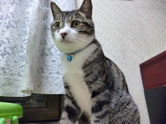 f0305995_23372135.jpg