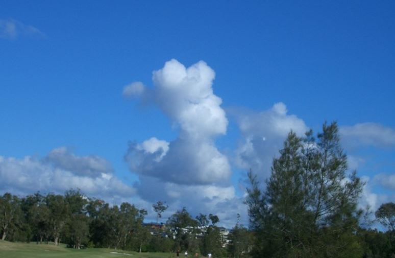 f0346196_07321439.jpg
