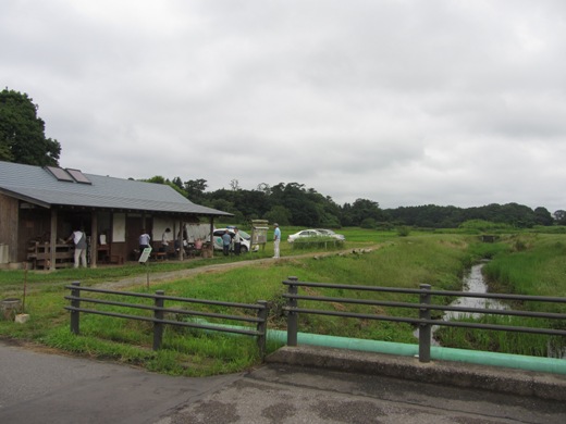 e0033301_1715466.jpg
