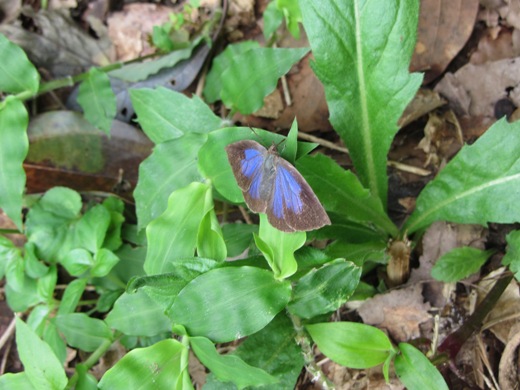 e0033301_17262269.jpg