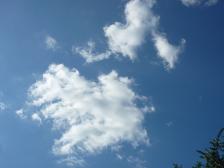 f0250403_21375651.jpg