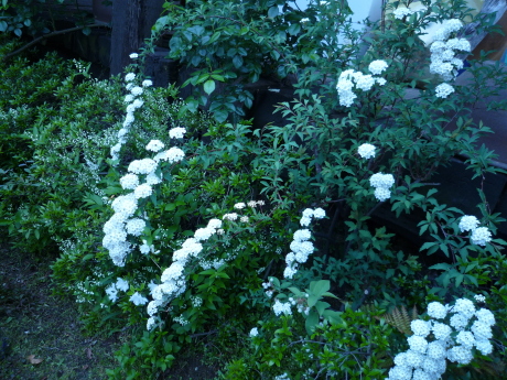 f0250403_22585209.jpg