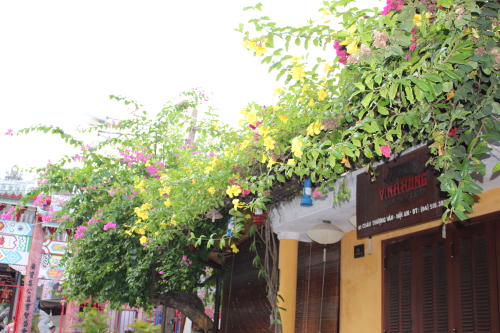 b0293908_14482997.jpg
