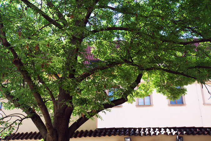 a0263109_1341422.jpg