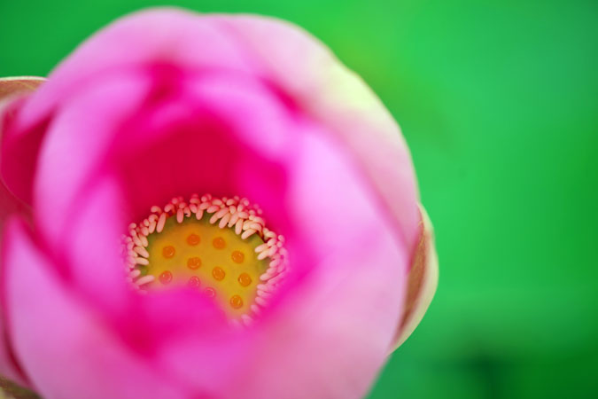 a0263109_1430216.jpg