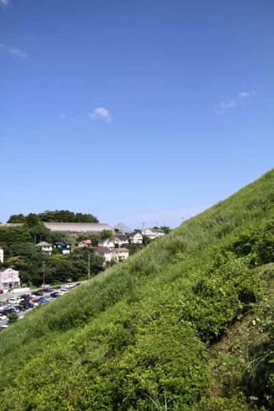a0194911_14153342.jpg