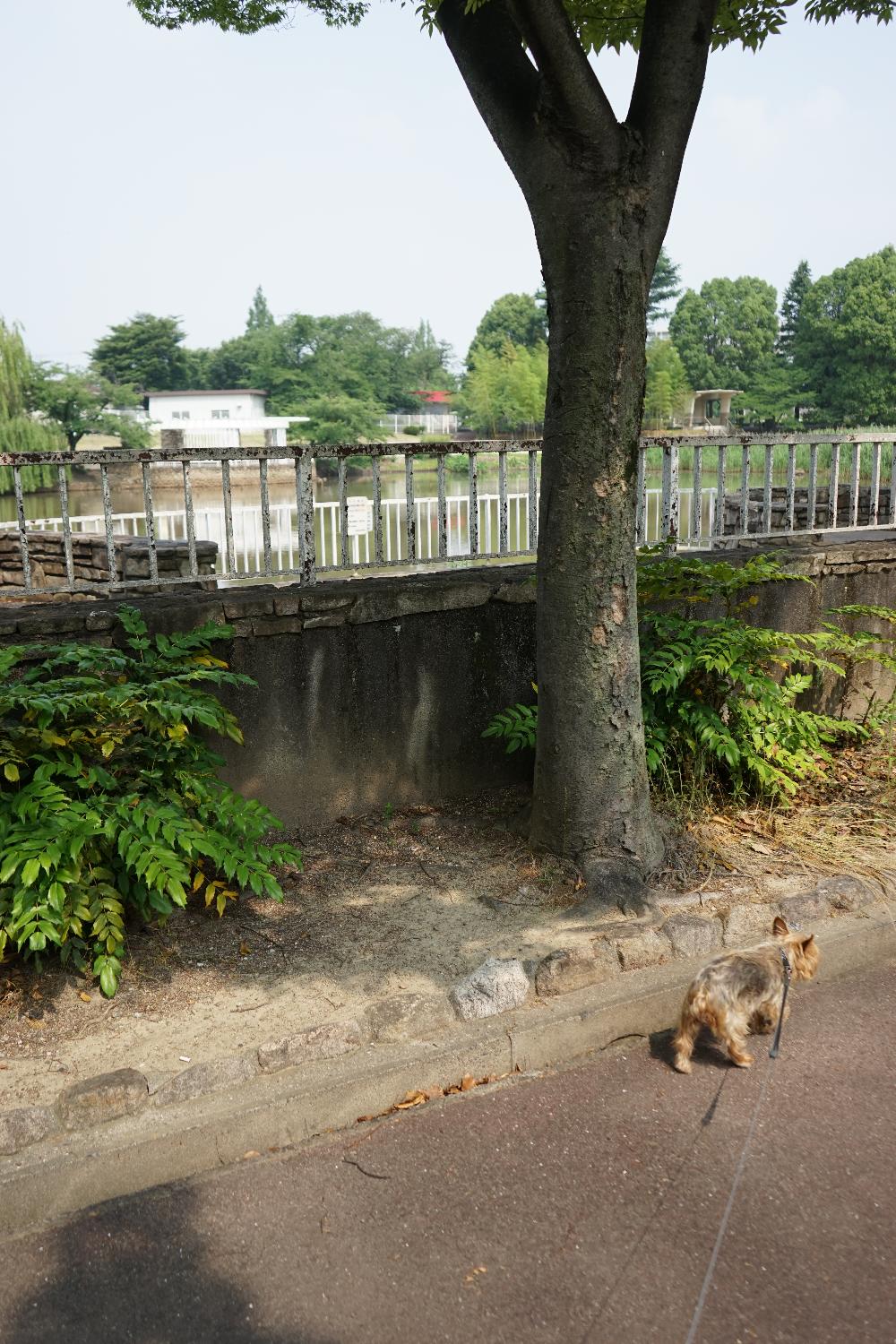 b0069128_927453.jpg