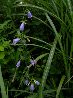 e0272335_20101281.jpg