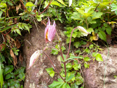 e0272335_2032170.jpg