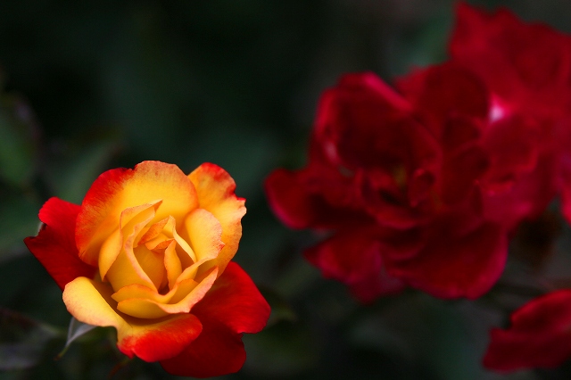 a0242438_1916355.jpg